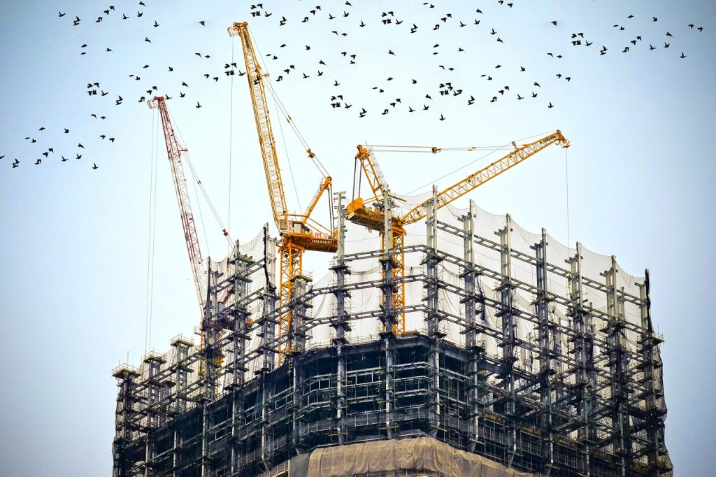 building and birds
